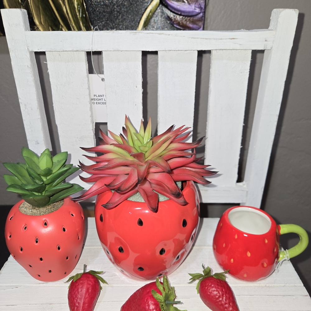 Strawberry-Themed Succulent Decor Set